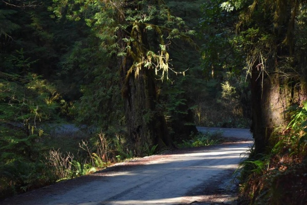 Hiouchi Motel image 13