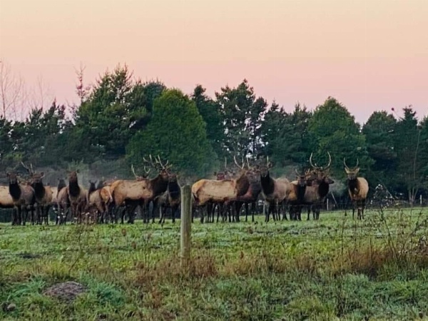 Hiouchi Motel image 19